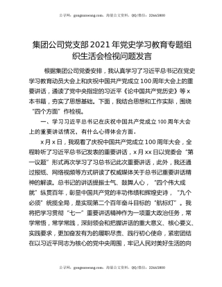 集团公司党支部2021年党史学习教育专题组织生活会检视问题发言