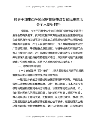 领导干部生态环境保护督察整改专题民主生活会个人剖析材料