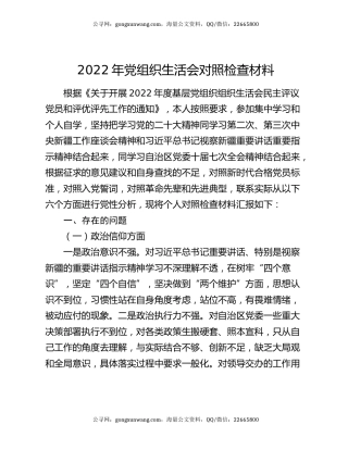 2022年党组织生活会对照检查材料