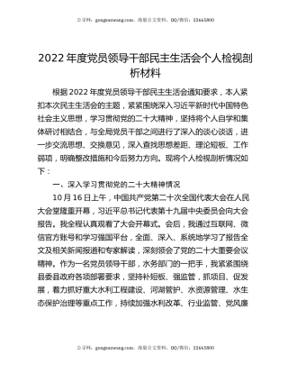 2022年度党员领导干部民主生活会个人检视剖析材料