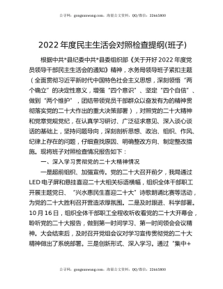 2022年度民主生活会对照检查提纲(班子)