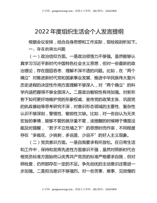 2022年度组织生活会个人发言提纲