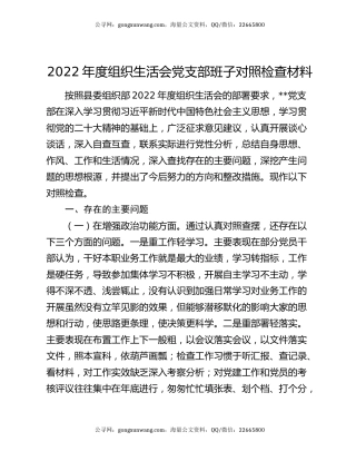 2022年度组织生活会党支部班子对照检查材料