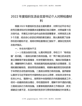 2022年度组织生活会支部书记个人对照检查材料