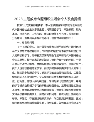 2023主题教育专题组织生活会个人发言提纲