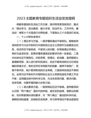 2023主题教育专题组织生活会发言提纲