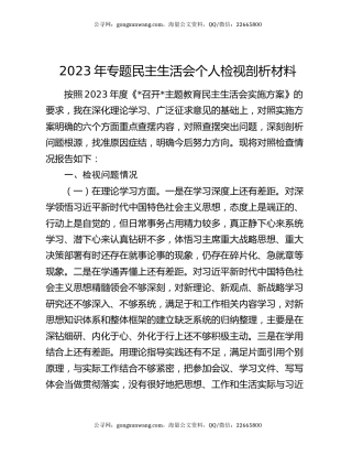 2023年专题民主生活会个人检视剖析材料