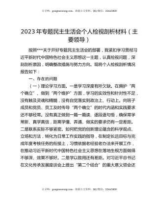 2023年专题民主生活会个人检视剖析材料（主要领导）