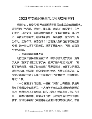 2023年专题民主生活会检视剖析材料