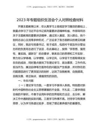 2023年专题组织生活会个人对照检查材料