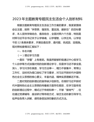 2023年主题教育专题民主生活会个人剖析材料