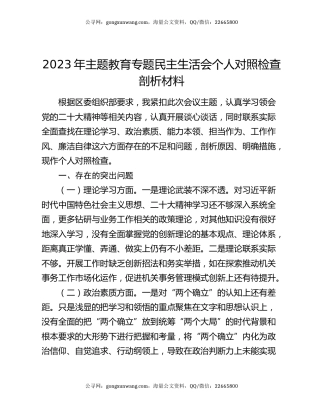 2023年主题教育专题民主生活会个人对照检查剖析材料