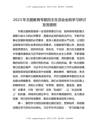 2023年主题教育专题民主生活会会前学习研讨发言提纲