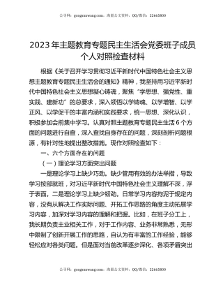 2023年主题教育专题民主生活会党委班子成员个人对照检查材料
