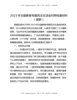 2023年主题教育专题民主生活会对照检查材料（副职）