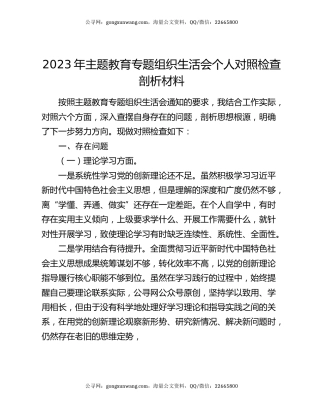 2023年主题教育专题组织生活会个人对照检查剖析材料
