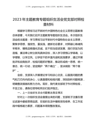 2023年主题教育专题组织生活会党支部对照检查材料