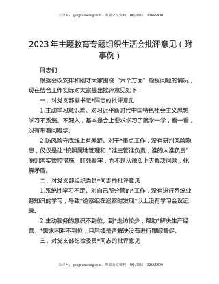 2023年主题教育专题组织生活会批评意见（附事例）