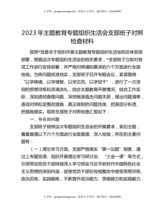 2023年主题教育专题组织生活会支部班子对照检查材料