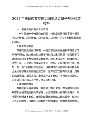 2023年主题教育专题组织生活会班子对照检查材料