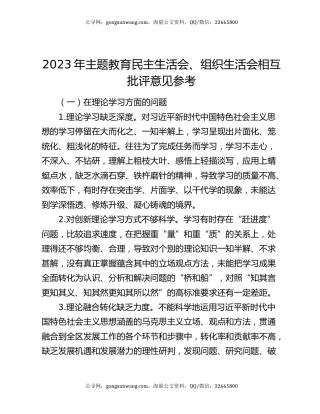 2023年主题教育民主生活会、组织生活会相互批评意见参考