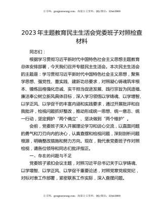 2023年主题教育民主生活会党委班子对照检查材料