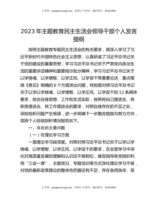 2023年主题教育民主生活会领导干部个人发言提纲
