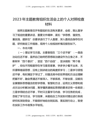 2023年主题教育组织生活会上的个人对照检查材料