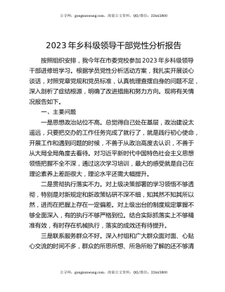 2023年乡科级领导干部党性分析报告
