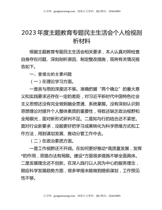 2023年度主题教育专题民主生活会个人检视剖析材料