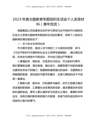 2023年度主题教育专题组织生活会个人发言材料（青年党员）
