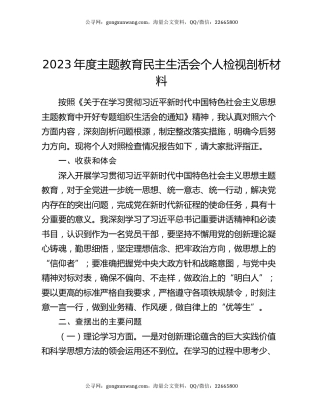 2023年度主题教育民主生活会个人检视剖析材料