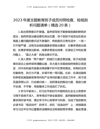 2023年度主题教育班子成员对照检查、检视剖析问题清单（精选20条）