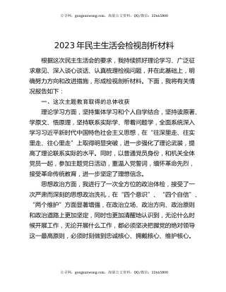 2023年民主生活会检视剖析材料