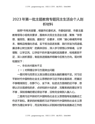 2023年第一批主题教育专题民主生活会个人剖析材料