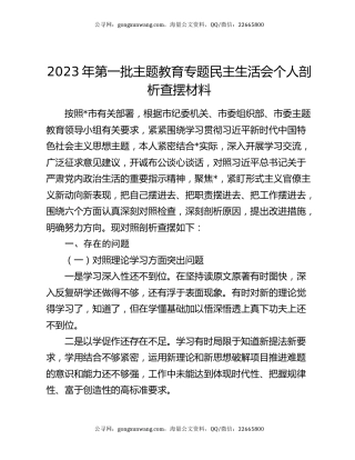 2023年第一批主题教育专题民主生活会个人剖析查摆材料