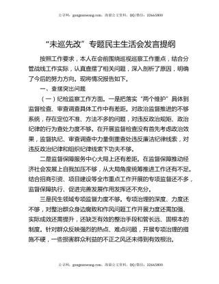 “未巡先改”专题民主生活会发言提纲
