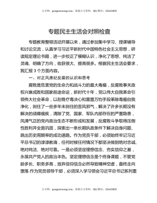 专题民主生活会对照检查