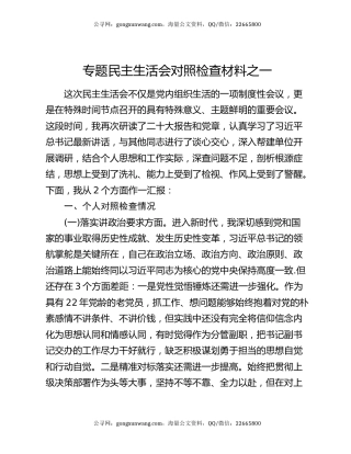 专题民主生活会对照检查材料之一