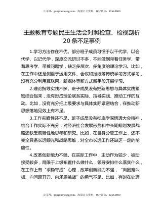 主题教育专题民主生活会对照检查、检视剖析20条不足事例