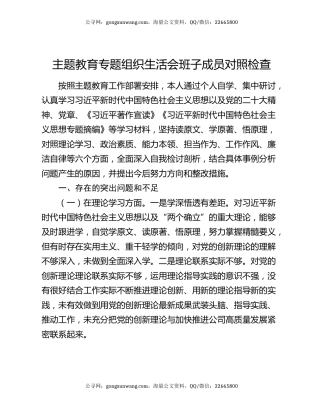 主题教育专题组织生活会班子成员对照检查