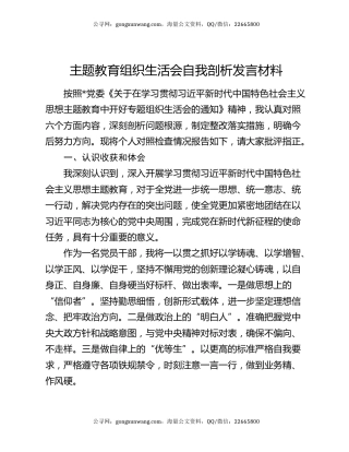 主题教育组织生活会自我剖析发言材料