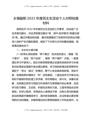 乡镇副职2022年度民主生活会个人对照检查材料