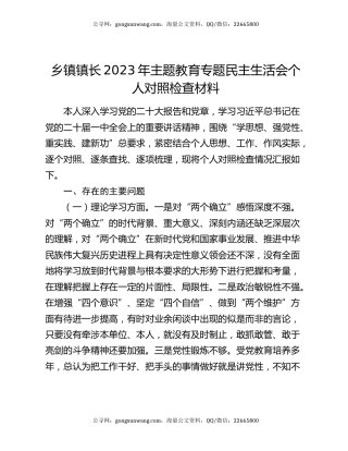 乡镇镇长2023年主题教育专题民主生活会个人对照检查材料