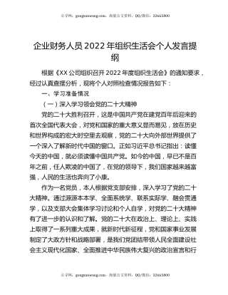 企业财务人员2022年组织生活会个人发言提纲