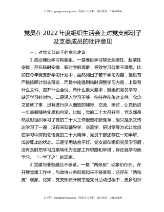 党员在2022年度组织生活会上对党支部班子及支委成员的批评意见