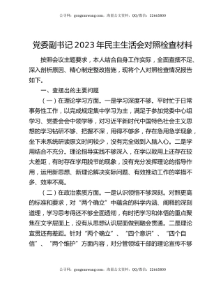 党委副书记2023年民主生活会对照检查材料