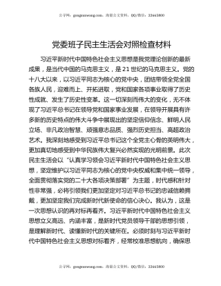 党委班子民主生活会对照检查材料