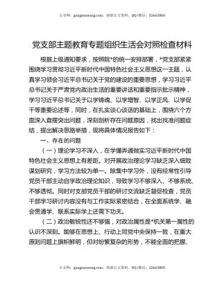 党支部主题教育专题组织生活会对照检查材料