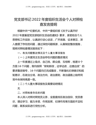 党支部书记2022年度组织生活会个人对照检查发言提纲
